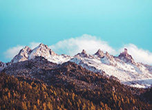 开云APP-阿德巴约20+12多苏穆23分 热火险胜公牛